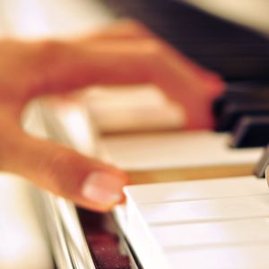 国产91麻豆免费观看
