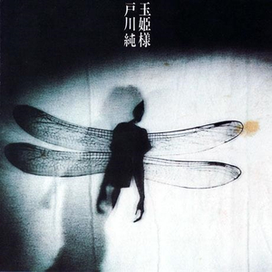 国产91麻豆免费观看
