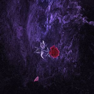 国产91麻豆免费观看
