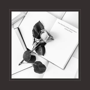 国产91麻豆免费观看
