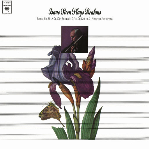 国产91麻豆免费观看
